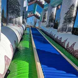 luge